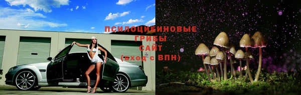 молекула духа Медногорск