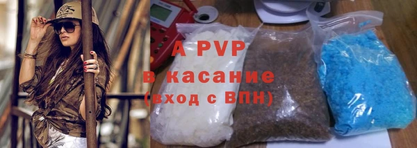 СК Корсаков