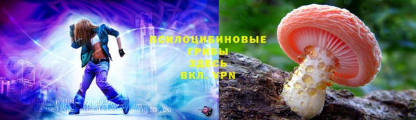 сатива Киреевск