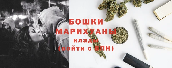 дживик Козловка