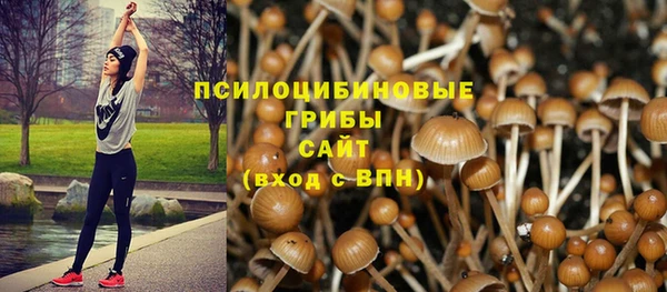 бутират Коряжма