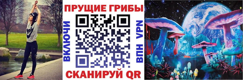 Псилоцибиновые грибы Psilocybe  купить закладку  Углич 